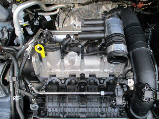 a5IMG_0390.gif
