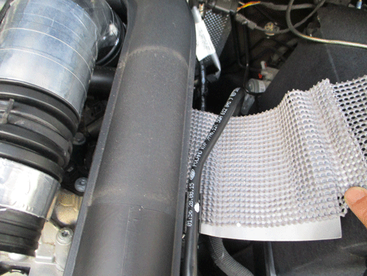 a8IMG_0397.gif