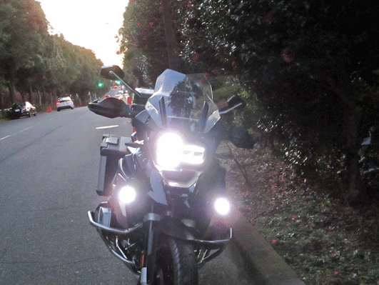 g0IMG_3506.gif