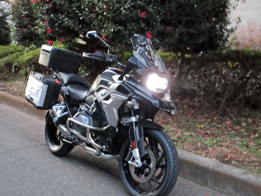 g3IMG_3503.gif